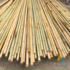Gậy tre