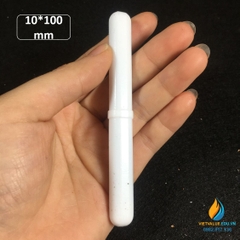 Cá từ có cạnh dài 10cm, con khuấy từ kích thước 10*100mm, cá từ thí nghiêm