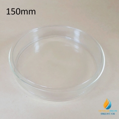 Hộp lồng, đĩa peptri thủy tinh, đường kính đĩa petri 150mm, đĩa nuôi cấy