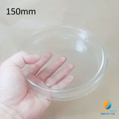 Hộp lồng, đĩa peptri thủy tinh, đường kính đĩa petri 150mm, đĩa nuôi cấy