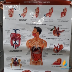 Nam châm chữ U kích thước 48mm*42mm*11mm*8mm nam châm thí nghiệm từ tính mạnh