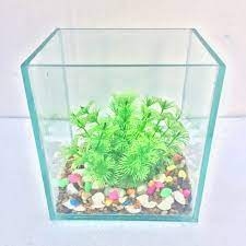 Bể cá mini kích thước 30x17x20 cm kiếng 5li