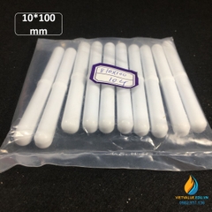 Cá từ có cạnh dài 10cm, con khuấy từ kích thước 10*100mm, cá từ thí nghiêm