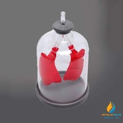 Mô hình nguyên lý hoạt động của 2 lá phổi