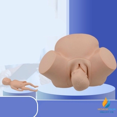 Mô hình giải phẫu hộ sinh đỡ đẻ, mô hình quy trình sinh sản của người