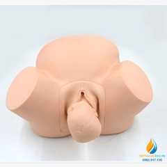 Mô hình giải phẫu hộ sinh đỡ đẻ, mô hình quy trình sinh sản của người