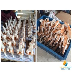 Mô hình giải phẫu phôi thai nữ sinh đủ tháng