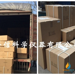 Mô hình giải phẫu phôi thai nữ sinh đủ tháng