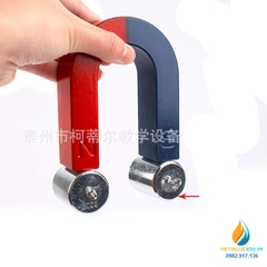 Nam châm hình chữ U hình móng ngựa 8 cm
