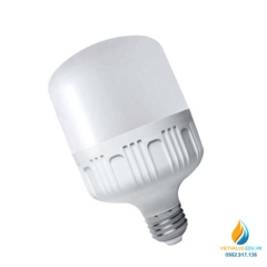 Bóng đèn led 6W