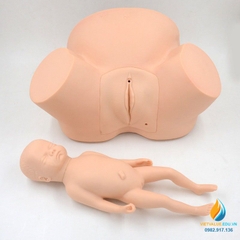 Mô hình giải phẫu hộ sinh đỡ đẻ, mô hình quy trình sinh sản của người
