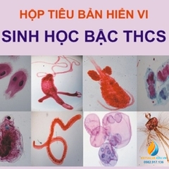 Bộ tiêu bản động vật nguyên sinh cho khối 6 trùng roi, trùng giày, tiêu bản sinh học