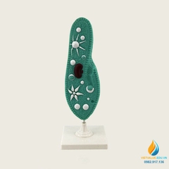 Mô hình Paramecium, mô hình sinh học trùng đế giày