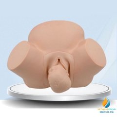 Mô hình giải phẫu hộ sinh đỡ đẻ, mô hình quy trình sinh sản của người