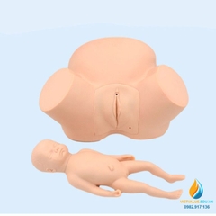 Mô hình giải phẫu hộ sinh đỡ đẻ, mô hình quy trình sinh sản của người