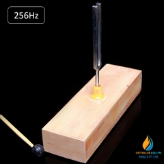 Âm thoa dao động tạo tần số 256Hz, âm thoa vật lý gồm búa cao su đi kèm