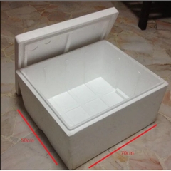 Thùng xốp KT: 60 cm x 45 cm x 41 cm