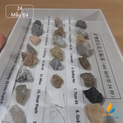 Bộ mẫu đá hóa thạch 24 mẫu mã 401, Mẫu vật hóa thạch đá khoáng, mẫu đất giảng dạy khoa học