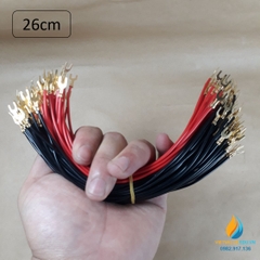 Bộ 10 dây điện nối mạch, hai đầu nối mạch 2 ngón, dài 26cm