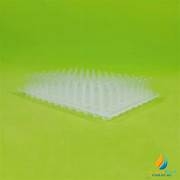Hộp đầu côn pipet hút 1ml, 100 lỗ, đường kính lỗ 8mm, có chốt khóa, vỏ trắng, ruột xanh, có chốt khóa