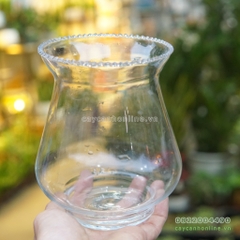 Bình thủy tinh trồng cây dung tích 600ml