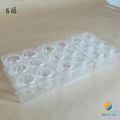 Giếng nuôi cấy vi sinh dùng 1 lần loại 6 lỗ cấy