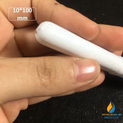 Cá từ có cạnh dài 10cm, con khuấy từ kích thước 10*100mm, cá từ thí nghiêm