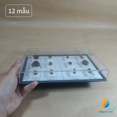 Mẫu côn trùng có cánh J4315, gồm 6 mẫu côn trùng có lợi, 6 mẫu côn trùng có hại