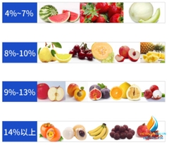 Khúc xạ kế đo nồng độ đường, model SY-DR-53B, phạm vi đo 0 ~ 53%, hiển thị LCD