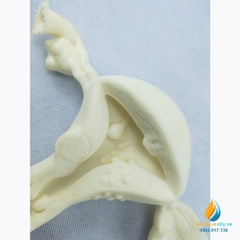 Mô hình tử cung nữ giới, chất liệu nhựa PVC, tỷ lệ 1:1, mô hình giảng dạy y khoa