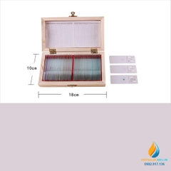 Bộ 50 tiêu bản động thực vật quan sát qua kính hiển vi, môn sinh học