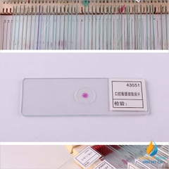 Bộ 50 tiêu bản động thực vật quan sát qua kính hiển vi, môn sinh học