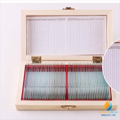 Bộ 50 tiêu bản động thực vật quan sát qua kính hiển vi, môn sinh học