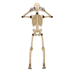 Mô hình bộ xương người tạo dáng điệu đà, không dành cho yếu vía