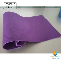 Thảm tập Yoga, dụng cụ thực hành stem cho học sinh