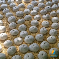 Men khô lên men, túi 500 gam