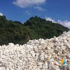 Đá vôi size lớn, đá vôi khoa học thí nghiệm