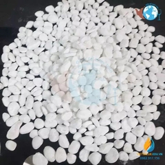 Đá vôi size nhỏ, đá vôi khoa học thí nghiệm