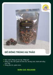 Đế đông trùng hạ thảo