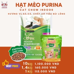 Purina Indoor Chow