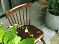 GHẾ PINTOLS / PINTOLS CHAIR