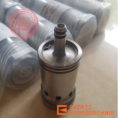 Evertz Spray Valve DN16 PN16 2:1 Pistonspray HZ003244-01 IMG02