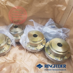 Khớp nối răng vỏ thép Ringfeder TSCHAN TNZ ZCA Gear Couplings 4