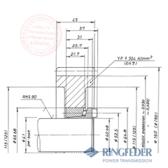 Thiết bị khóa trục côn Ringfeder RfN 7013.0 gearwheels