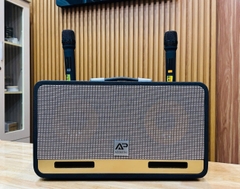 Loa karaoke xách tay AP Acoustic