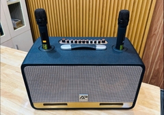 Loa karaoke xách tay AP Acoustic