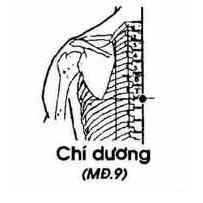 Chí Dương