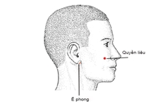 Quyền Liêu Huyệt chủ trị liệt mặt, cơ mặt co giật, răng đau