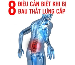 8 ĐIỀU CẦN BIẾT KHI BỊ Đ.A.U LƯNG CẤP (SÚT LƯNG)