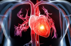 3 Thói quen phổ biến nhất gây hại cho thận và tim mạch